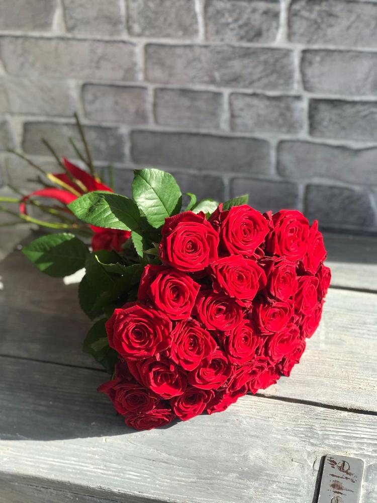 Букет Красные розы Фридом в Замостье