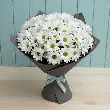 Букет цветов из:  Хризантемы #REPLACE_PRED# Замостье