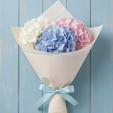 Букет цветов из:  Гортензия в Замостье
