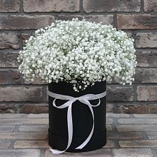 Цветочная композиция из Гипсофила в шляпной коробке в Замостье