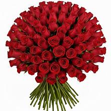 Букет Красные розы Чери Лав в Замостье